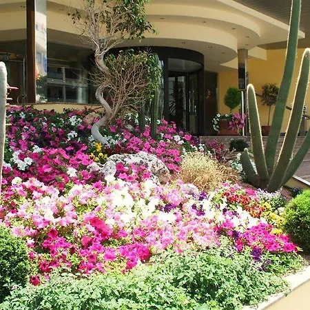 Port 3* دينايا